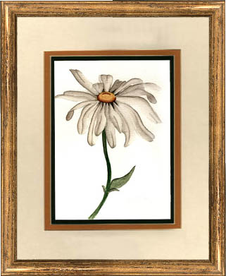 daisywithframe.jpg (30043 bytes)