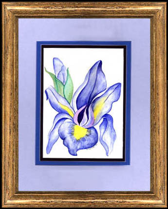 oologopic.jpg (40731 bytes)